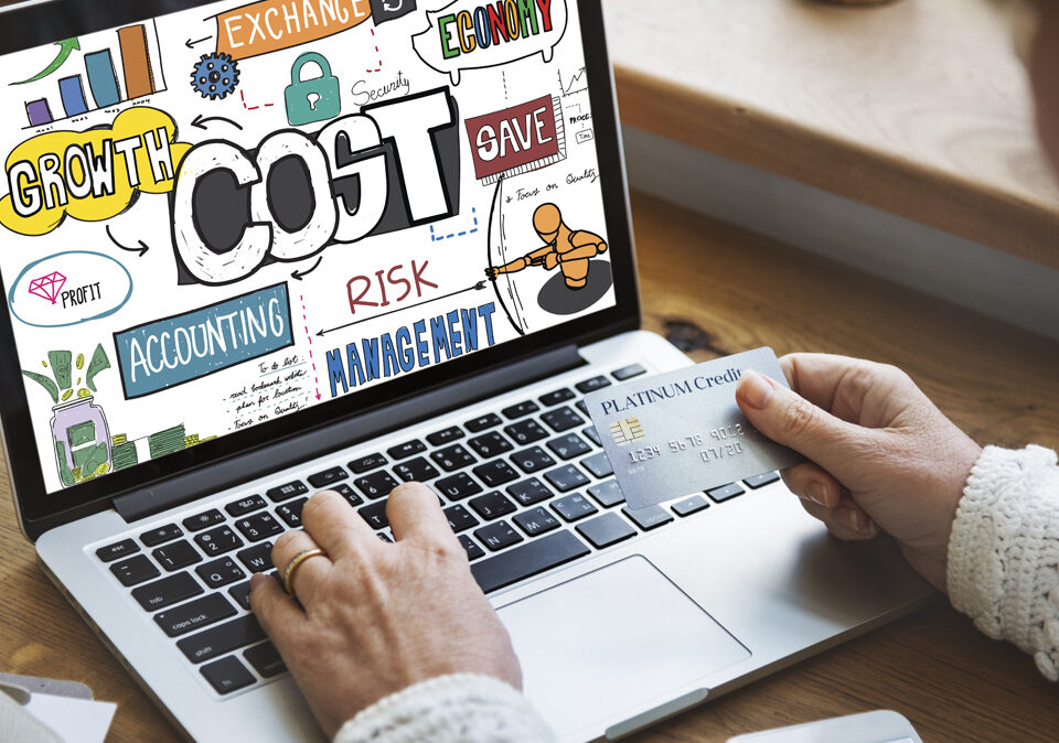Online Shopping Shipping Internet Commerce Concept De ce site-urile construite ieftin costă cel mai mult pe termen lung: calculul pe care nu îl face nimeni la început